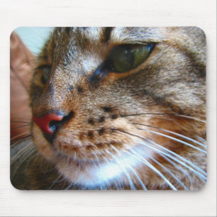 Tabbykatze mousepad