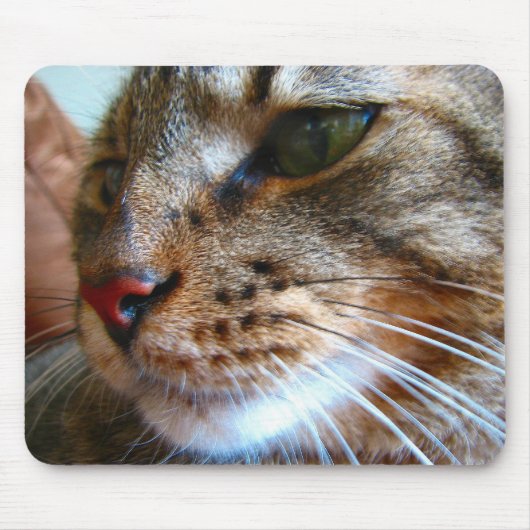 Tabbykatze mousepad (Vorne)
