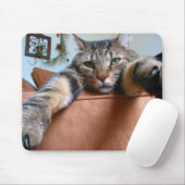 Tabbykatze mousepad (Mit Mouse)