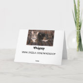 Tabbykatze Vatertagskarte Karte (Rückseite)