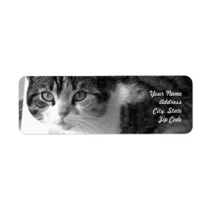 Tabbykatzen-Adressen-Etiketten