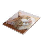 Tabbykatzen-Gesichtsfliese Fliese (Seite)