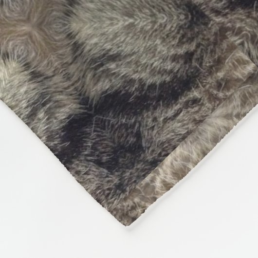 Tabbykatzen-Pelzentwurf 3 Fleecedecke (Ecke)