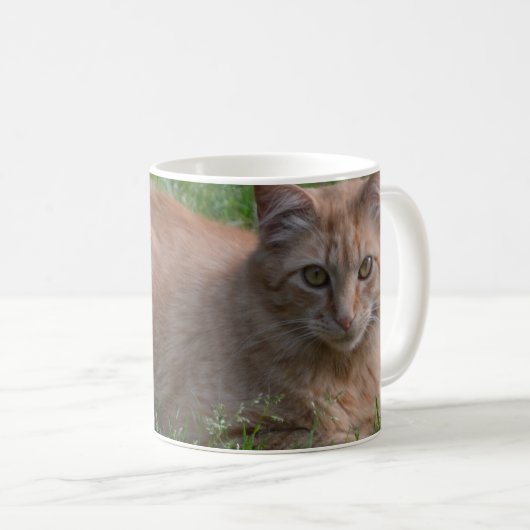 Tabbykatzenorange Kaffeetasse (VorderseiteRechts)