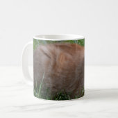 Tabbykatzenorange Kaffeetasse (Vorderseite Links)