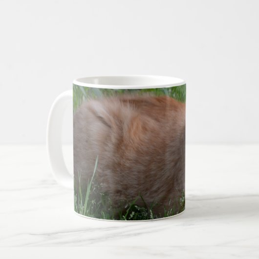 Tabbykatzenorange Kaffeetasse (Vorderseite Links)