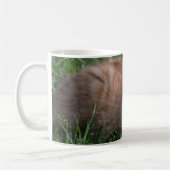 Tabbykatzenorange Kaffeetasse (Links)