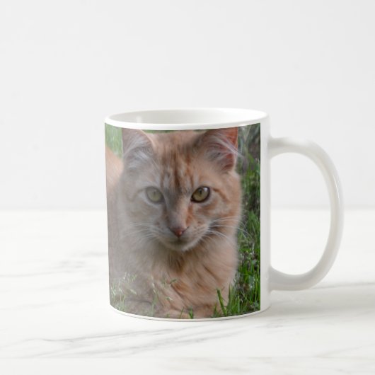Tabbykatzenorange Kaffeetasse (Rechts)