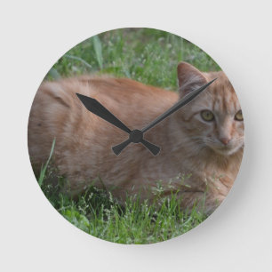 Tabbykatzenorange Runde Wanduhr
