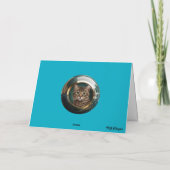 Tabbys Gambit Grußkarte Ankündigung (Rückseite)