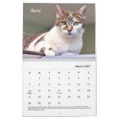 Tabby's Place-Kalender Kalender (Mär 2027)