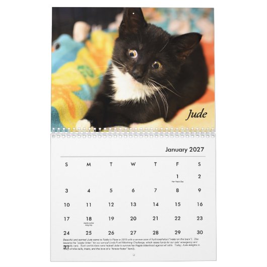 Tabby's Place-Kalender Kalender (Jan 2027)