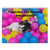 Tabby's Place-Kalender Kalender (Titelbild)