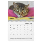 Tabby's Place-Kalender Kalender (Feb 2026)