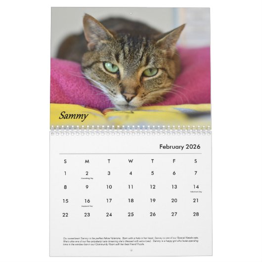 Tabby's Place-Kalender Kalender (Feb 2026)