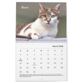 Tabby's Place-Kalender Kalender (Mär 2026)