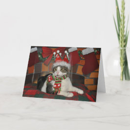 Tabbyschwarzweiss-Katze Weihnachtskarte Feiertagskarte