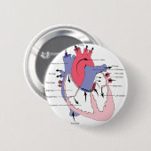 Tabelle 2. Normal-Herz Function.jpg Button (Vorne & Hinten)