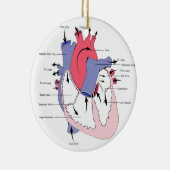 Tabelle 2. Normal-Herz Function.jpg Keramikornament (Rechts)