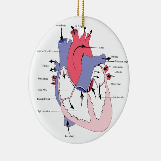 Tabelle 2. Normal-Herz Function.jpg Keramikornament (Rechts)