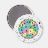 Tabelle der Aminosäure-Basissequenz Magnet (Vorderseite/Rückseite)