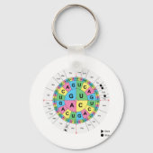 Tabelle der Aminosäure-Basissequenz Schlüsselanhänger (Vorderseite)