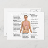 Tabelle der bakteriellen Infektionen beim Menschen Postkarte (Vorne/Hinten)