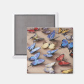 Tabelle mit Schmetterlingen Magnet (Vorderseite/Rückseite)