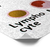 Tabelle zur Differenzierung der Blutkörperchen Poster (Ecke)