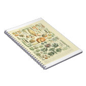 Tabelle zur pflanzlichen Identifizierung Notizblock (Rechte Seite)