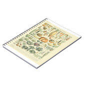 Tabelle zur pflanzlichen Identifizierung Notizblock (Linke Seite)