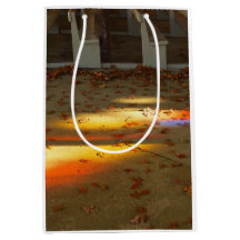 Tabernacle Blätter und Light - Martha's Vineyard