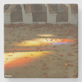 Tabernacle Blätter und Light - Martha's Vineyard Steinuntersetzer