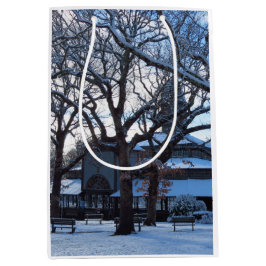 Tabernacle Morning After Snow - Martha's Vineyard Mittlere Geschenktüte