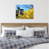 Tabernacle und Forsythia - Martha's Vineyard Leinwanddruck (Insitu (Schlafzimmer))