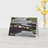 Tabernacle Window Reflection - Martha's Vineyard Karte (Gelbe Blume)