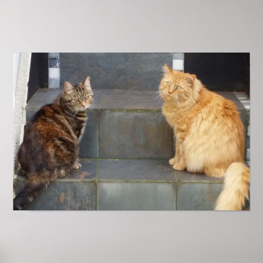 Tabitha Twitchit & Mungojerrie Poster (Vorne)