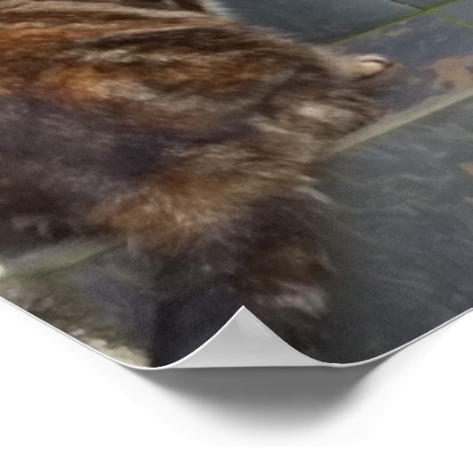 Tabitha Twitchit & Mungojerrie Poster (Ecke)