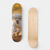Tabla de Skate Cachorro Blanco Corriendo Skateboard (Vorderseite)