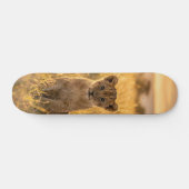 Tabla de Skate Cachorro de León en el Césped Skateboard (Horizontal)
