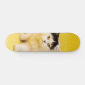 Tabla de skate Cachorro Gato Persa Skateboard (Horizontal)