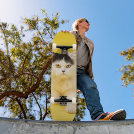 Tabla de skate Cachorro Gato Persa Skateboard