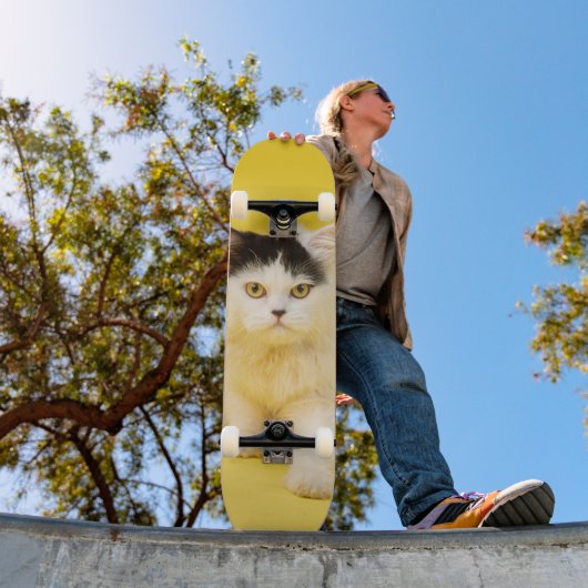 Tabla de skate Cachorro Gato Persa Skateboard (Außenbereich 1)