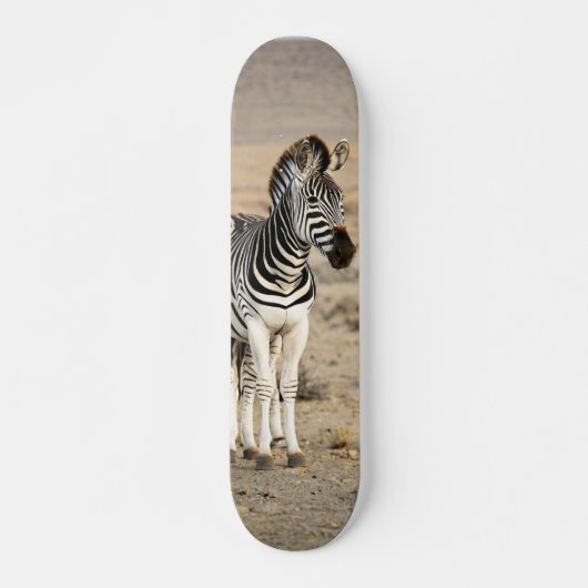 Tabla de Skate Cebra Animal Salvaje Skateboard (Vorne)