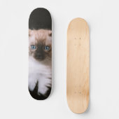 Tabla de Skate Gatico Peludo de Ojos Azules Skateboard (Vorderseite)