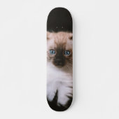 Tabla de Skate Gatico Peludo de Ojos Azules Skateboard (Vorne)