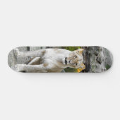 Tabla de Skate Leona Salvaje Sentada Skateboard (Horizontal)