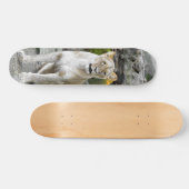 Tabla de Skate Leona Salvaje Sentada Skateboard (Horizontal)