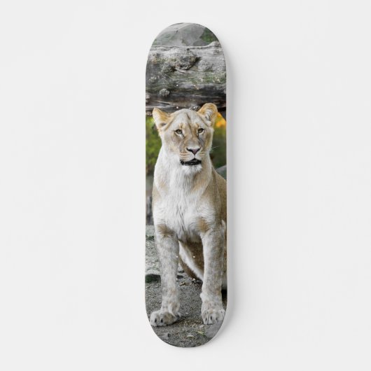 Tabla de Skate Leona Salvaje Sentada Skateboard (Vorne)