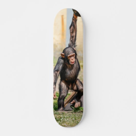 Tabla de Skate Mono Chimpancé Guindado Skateboard (Vorne)